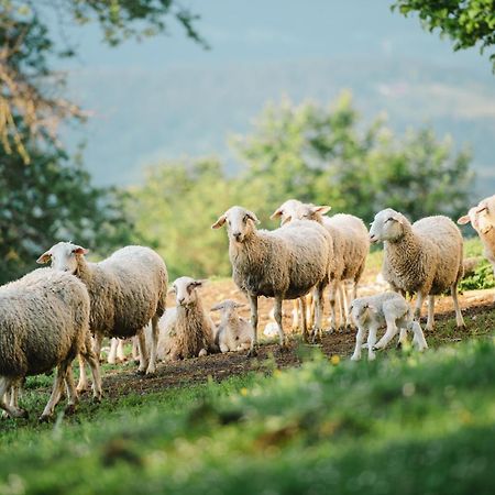 Eco Tourist Farm Ravnjak Slovenj Gradec Bagian luar foto