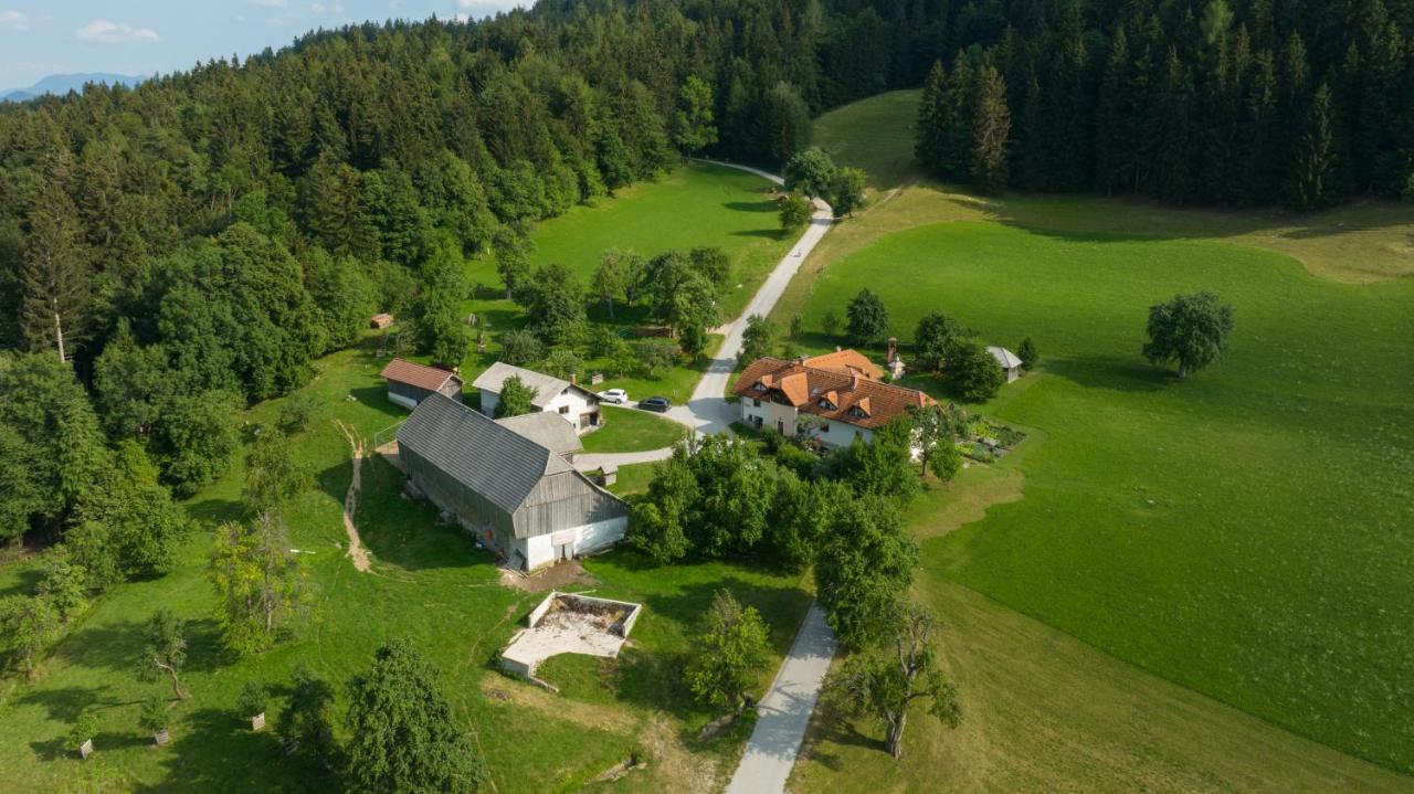 Eco Tourist Farm Ravnjak Slovenj Gradec Bagian luar foto